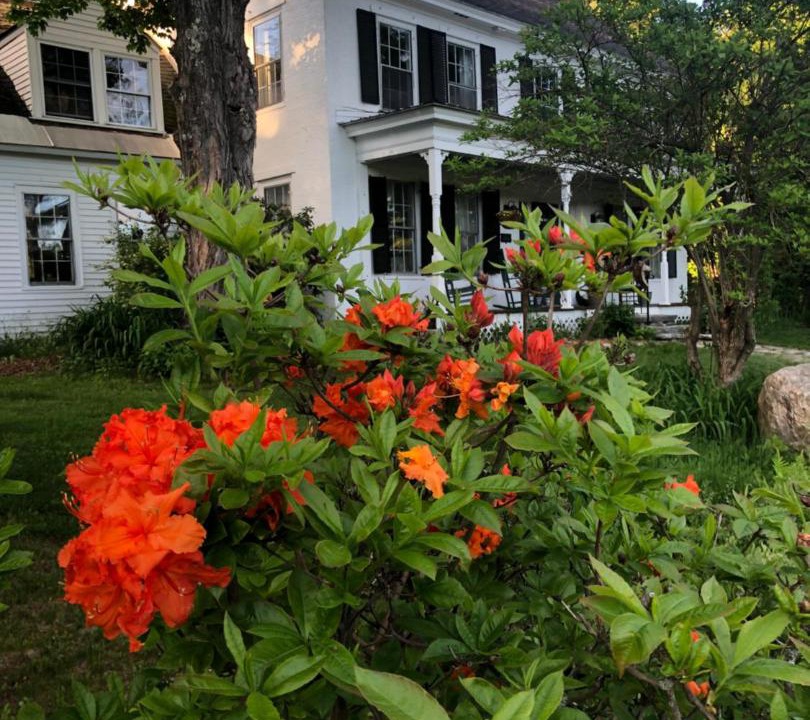 Photo of Buildings in Chester
