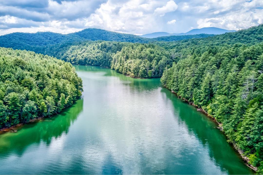 Photo of Outdoor in Blue Ridge