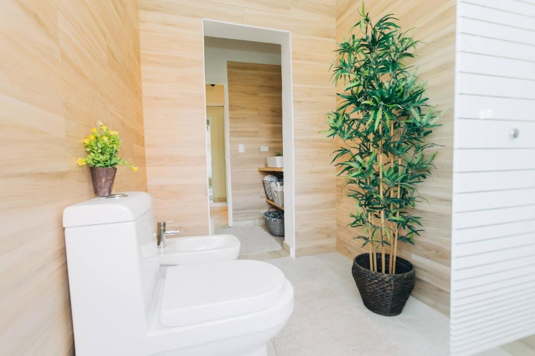 Photo of Others in Bavaro