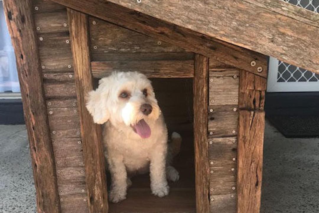 Photo of Others in Bonny Hills