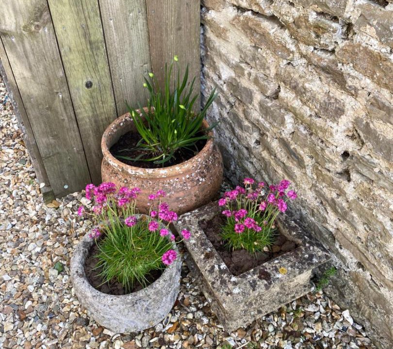 Photo of Others in Redlynch