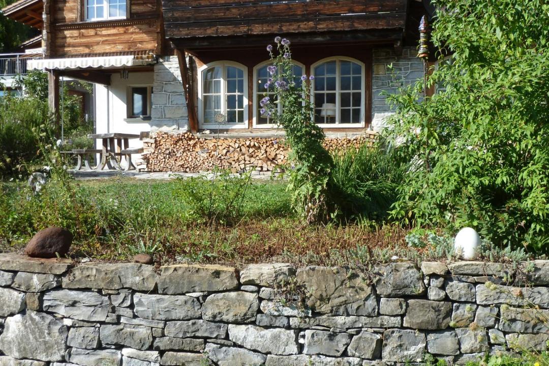 Photo of Others in Brienz