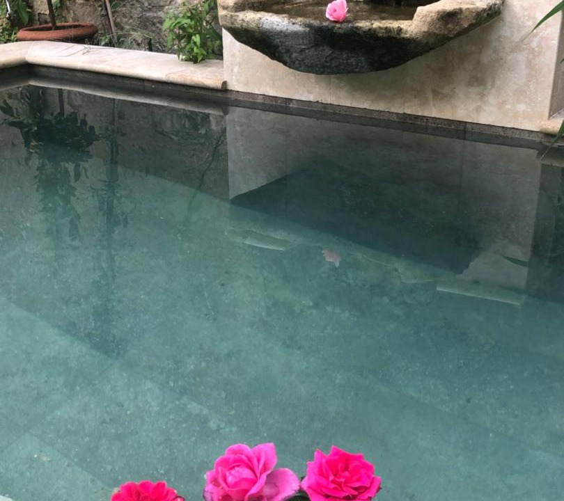 Photo of Others in Bazas