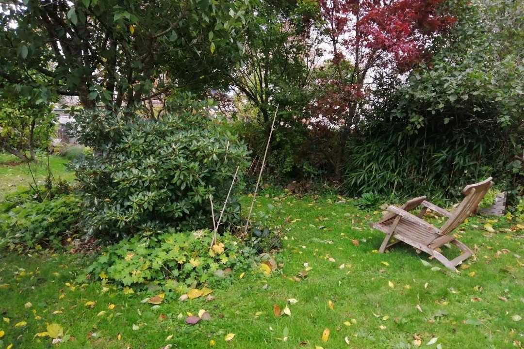 Photo of Others in Colroy-la-Roche