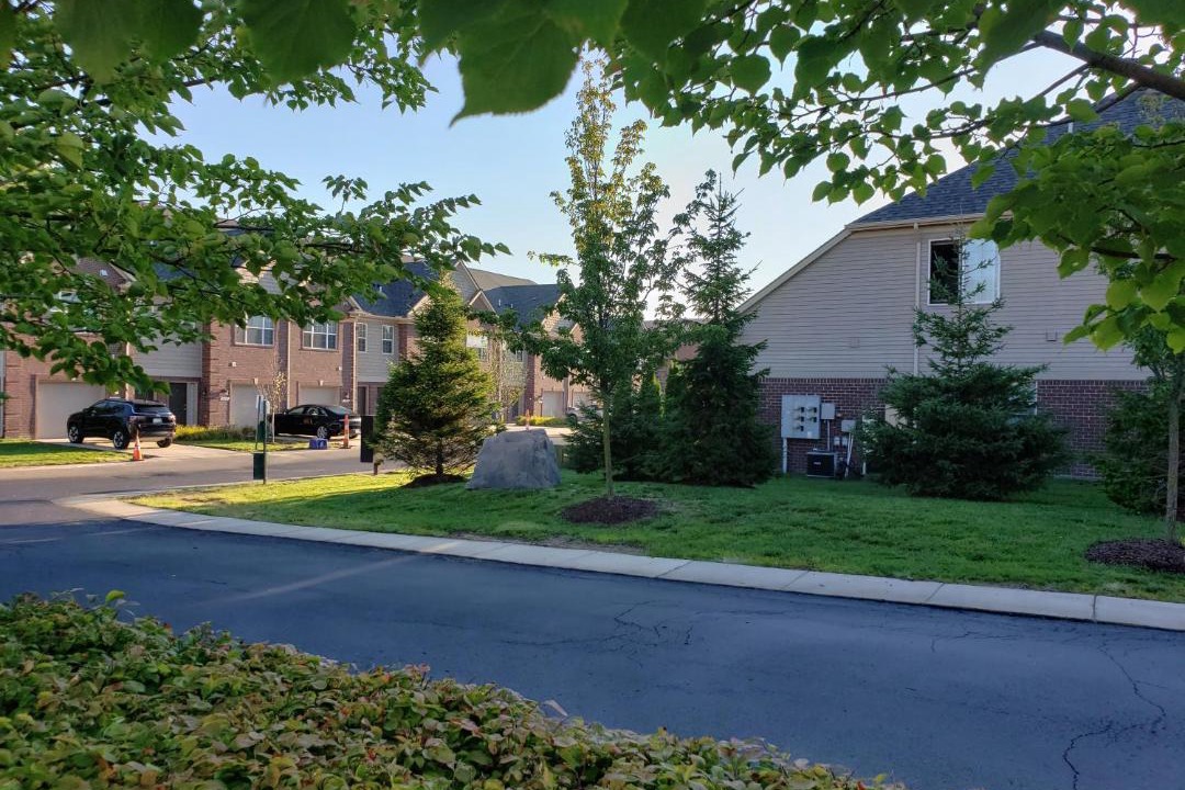 Photo of Others in Shelby Township