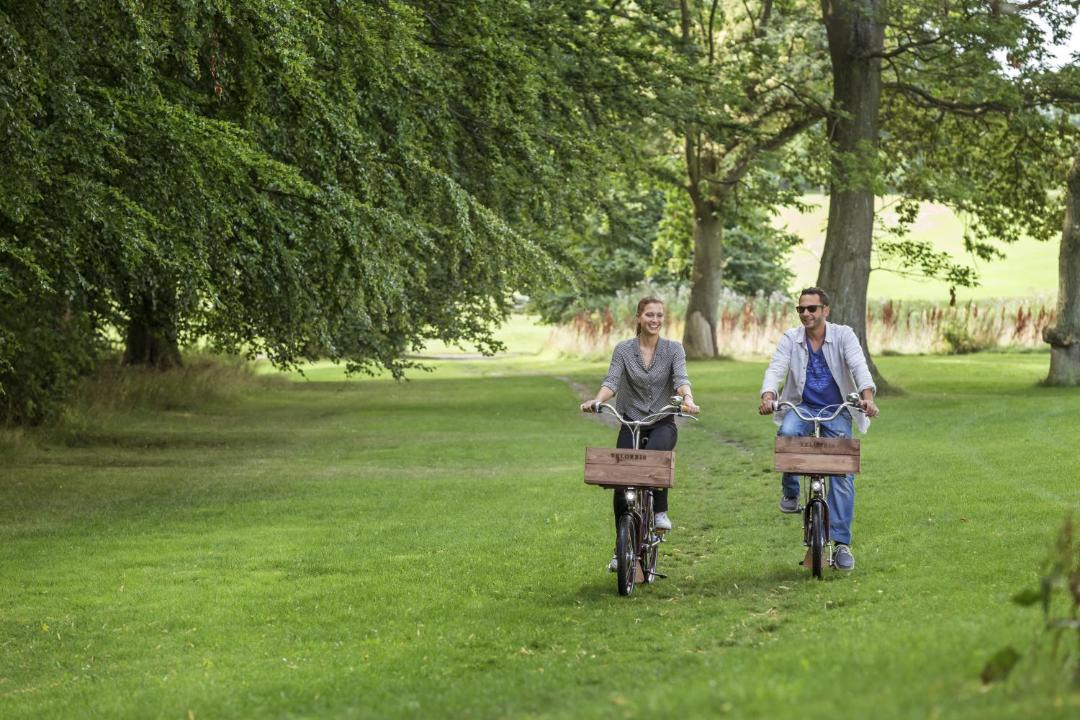 Photo of Others in Rungsted Kyst