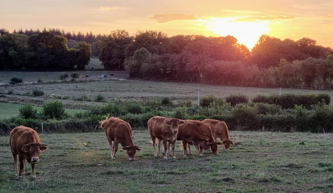 Photo of Others in Saint-Agnant-de-Versillat