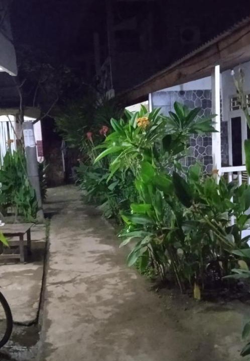 Photo of Others in Gili Trawangan