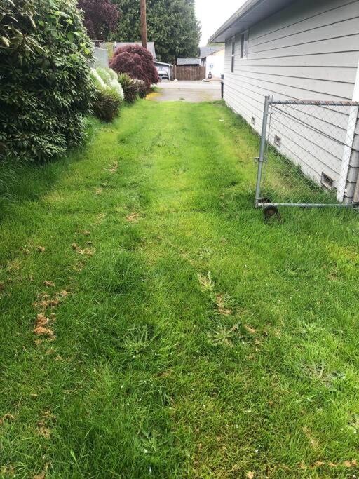 Photo of Others in Holly