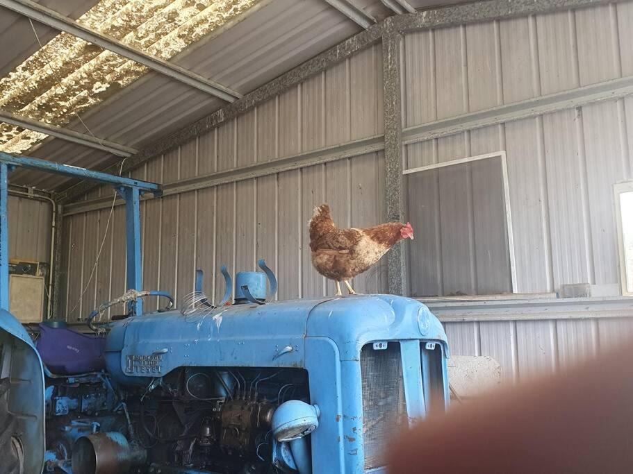 Photo of Others in Won Wron