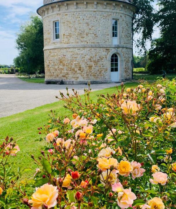 Photo of Others in Saint-Germain-de-Varreville