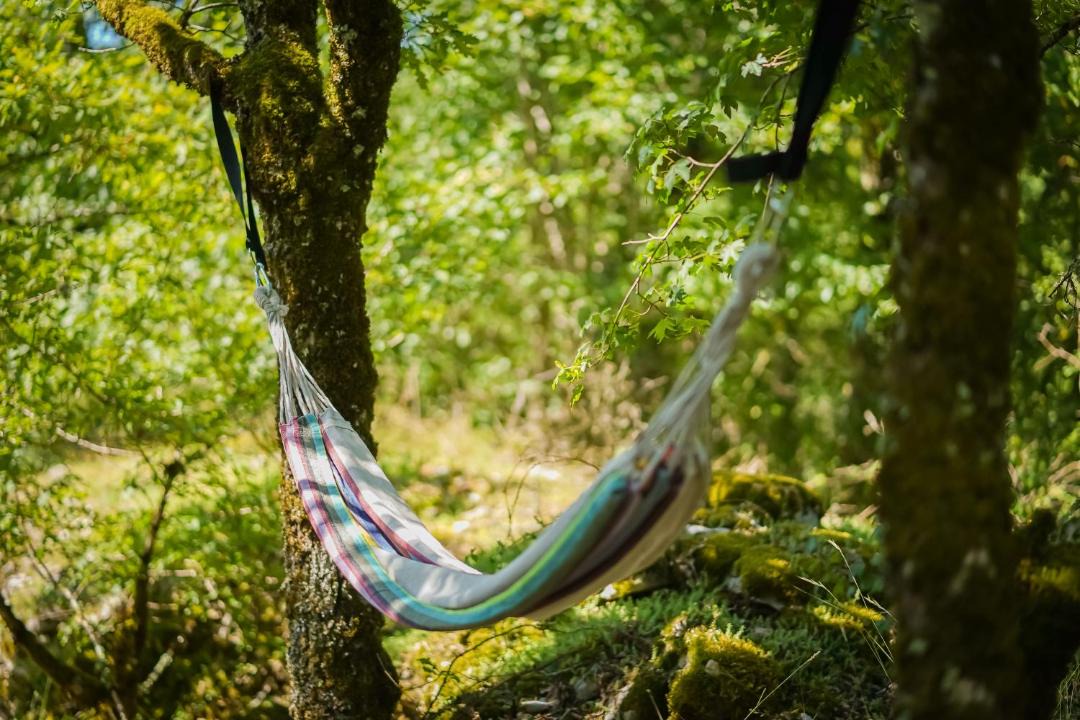 Photo of Others in Chartrier-Ferriere