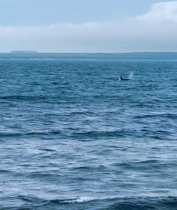 Photo of Outdoor in Keiss