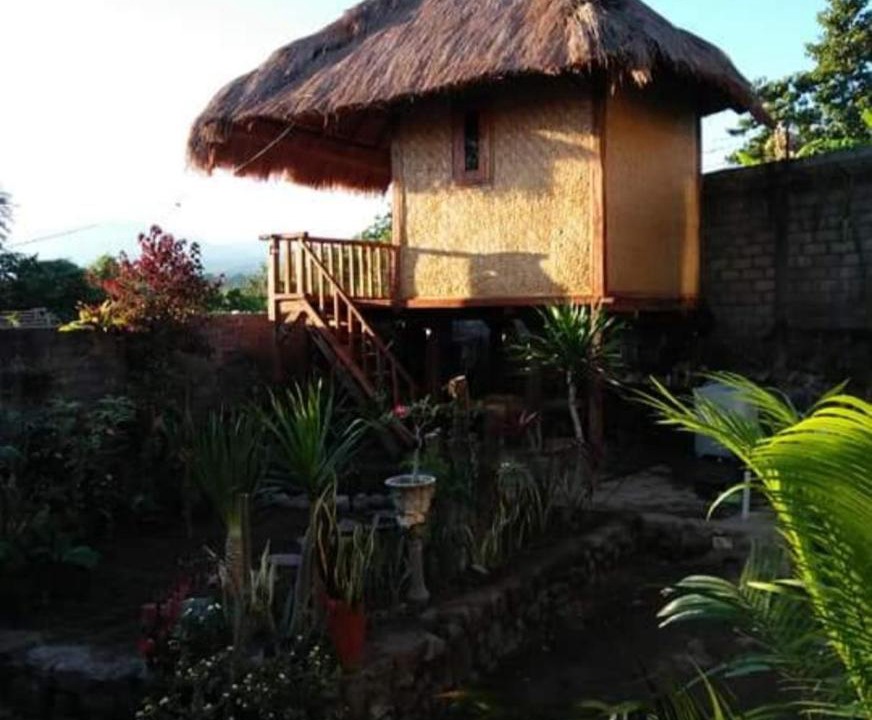 Photo of Buildings in Bayan