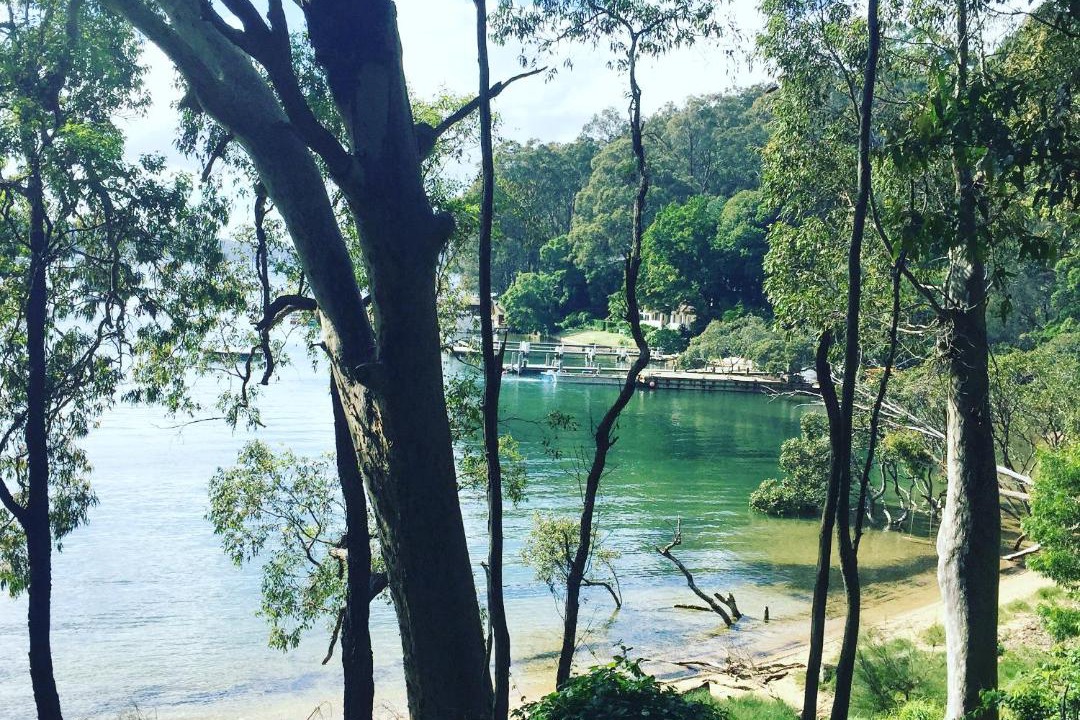 Photo of Outdoor in McCarrs Creek