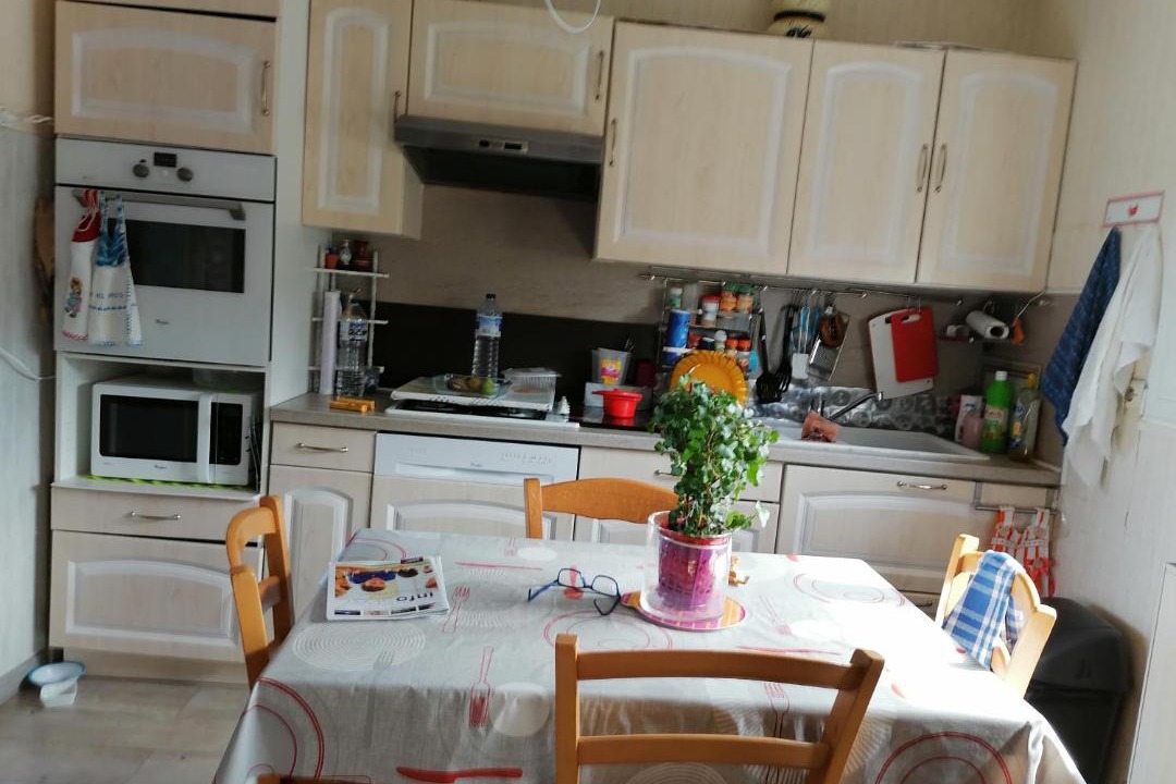 Photo of Others in Spay