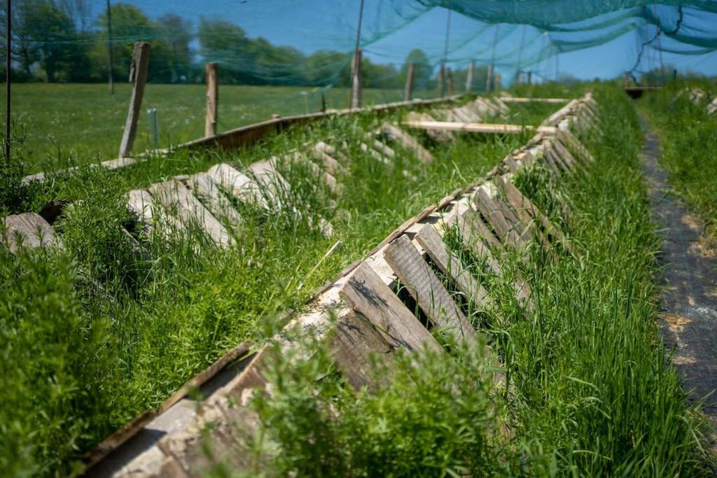 Photo of Others in Chamesol