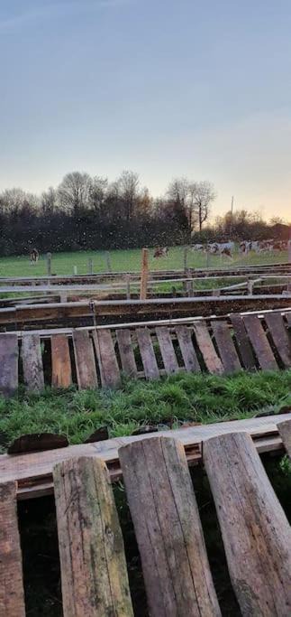 Photo of Others in Chamesol