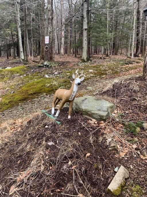 Photo of Others in Florida