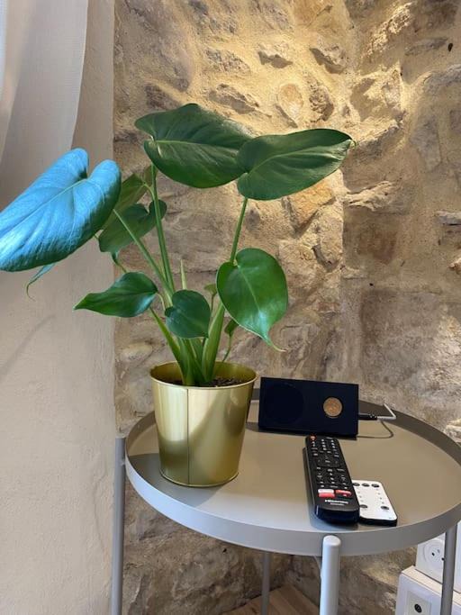 Photo of Others in Mornas