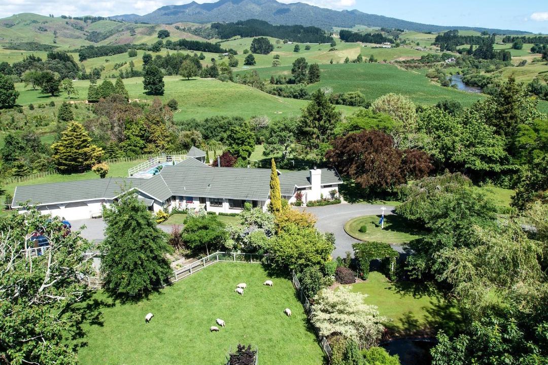 Photo of Others in Pirongia