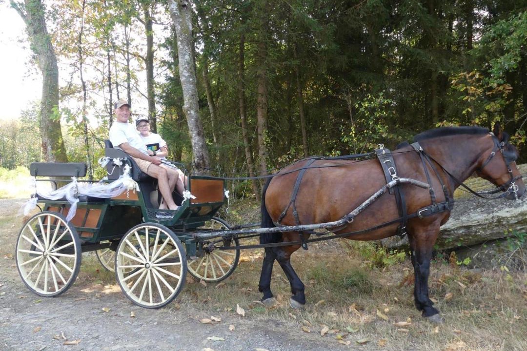 Photo of Others in Saint-Jory-de-Chalais