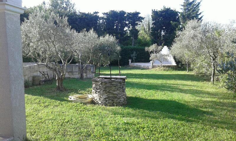 Photo of Others in Paradou