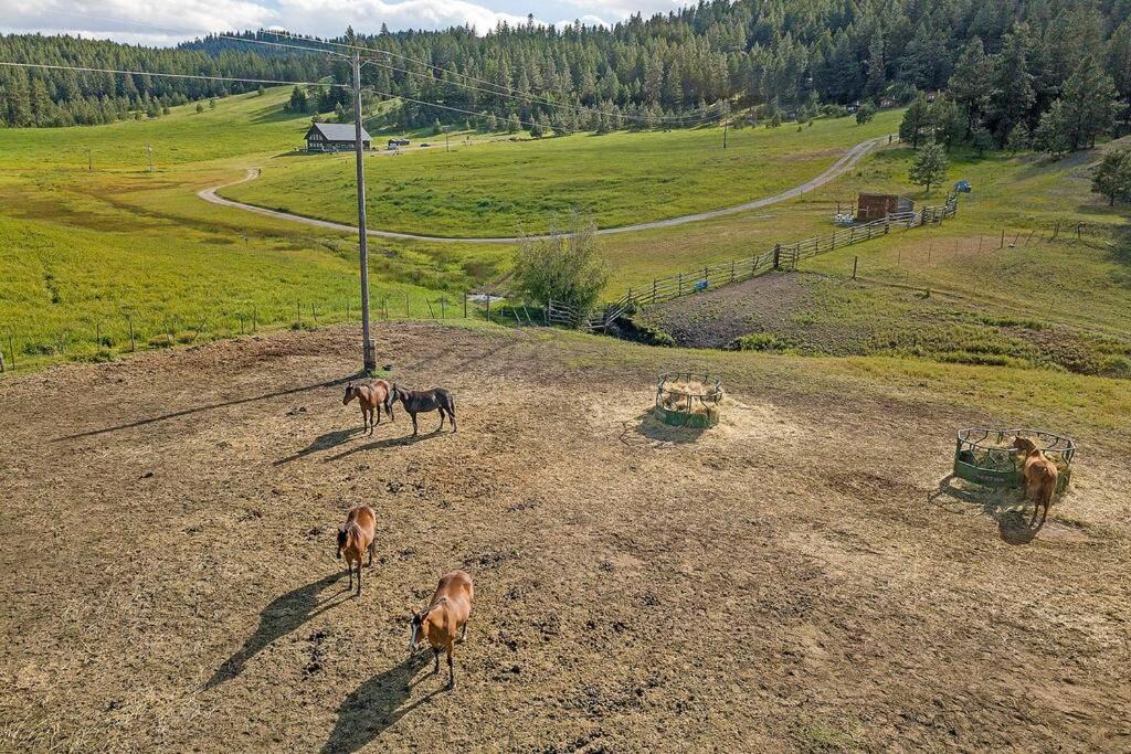 Photo of Outdoor in Oroville