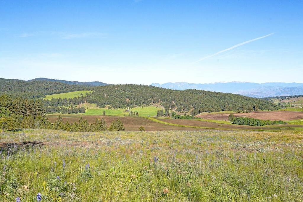 Photo of Outdoor in Oroville