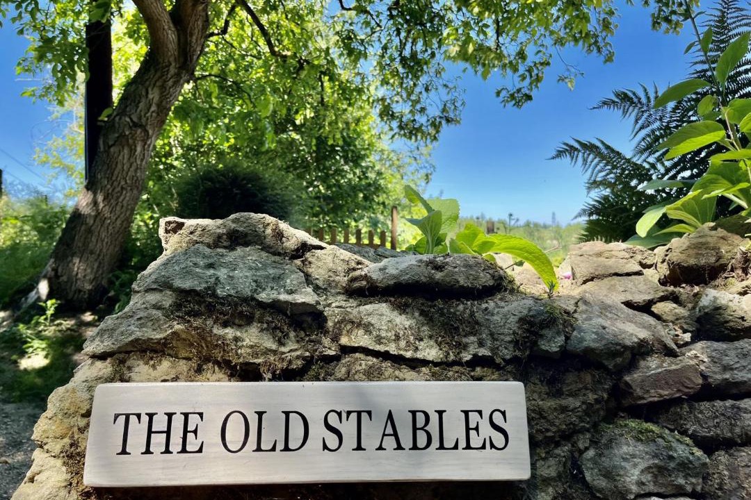 Photo of Buildings in Petworth