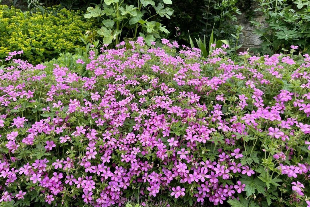 Photo of Others in Pulborough