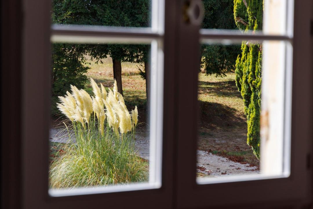 Photo of Others in Pons