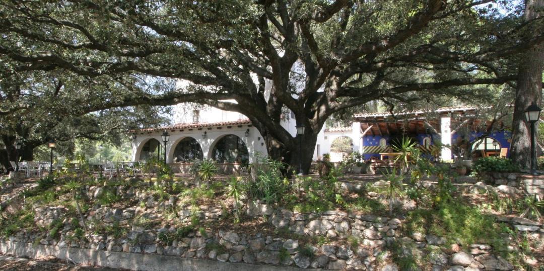 Photo of Buildings in Valls