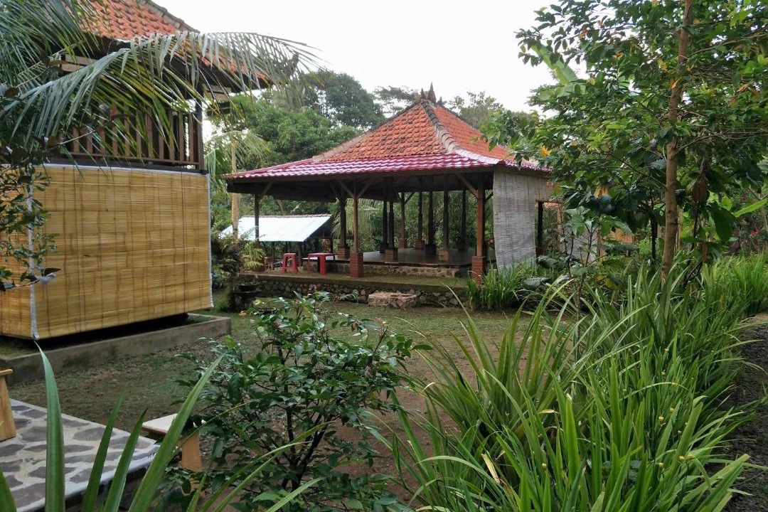 Photo of Buildings in Sawan