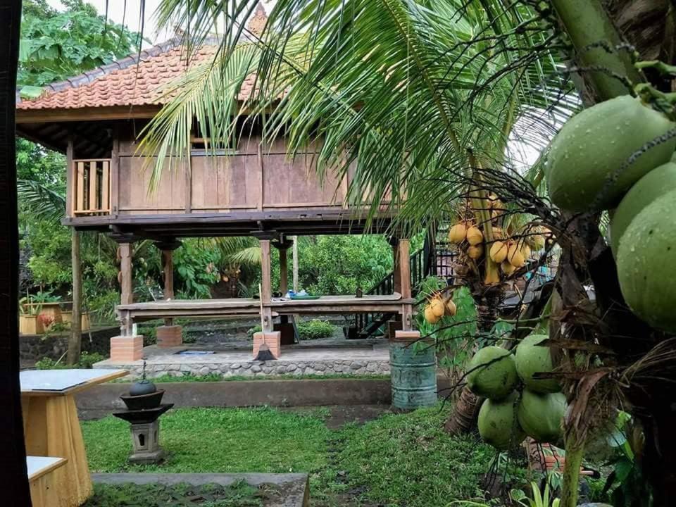 Photo of Patio Balcony in Sawan