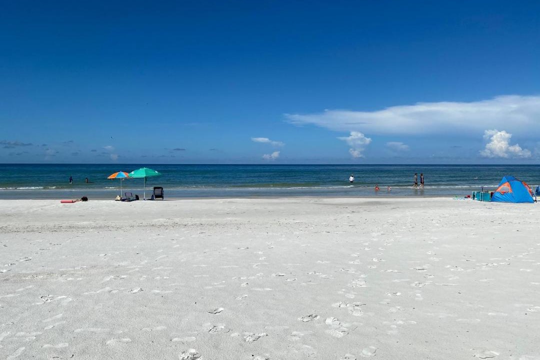 Photo of Others in Indian Shores