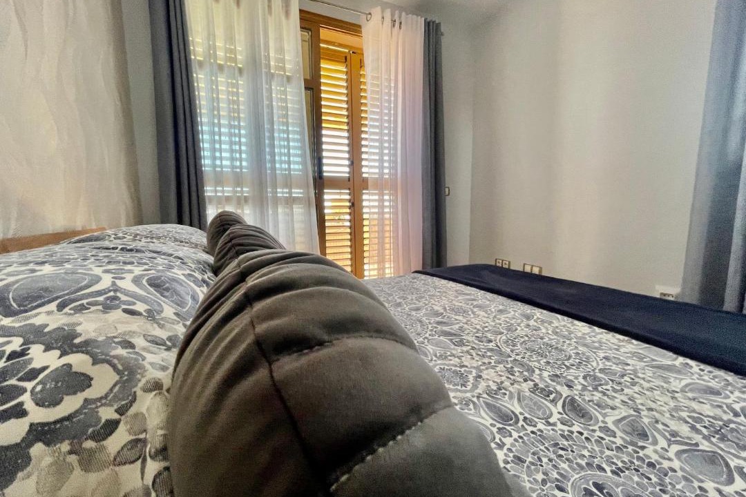 Photo of Bedroom in Golf Bahia