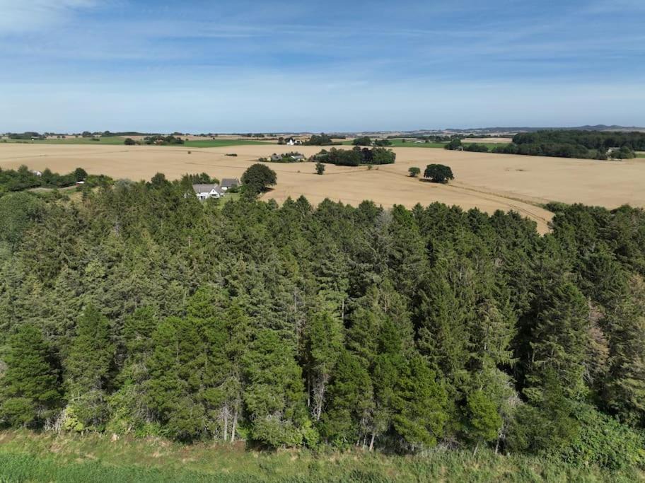 Photo of Outdoor in Stege
