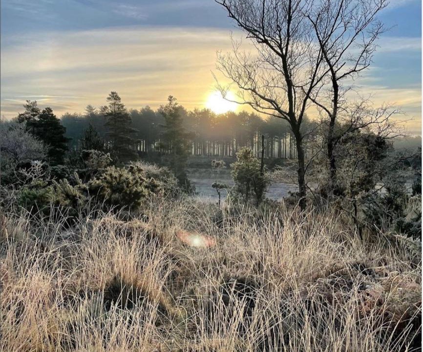 Photo of Outdoor in Holworth