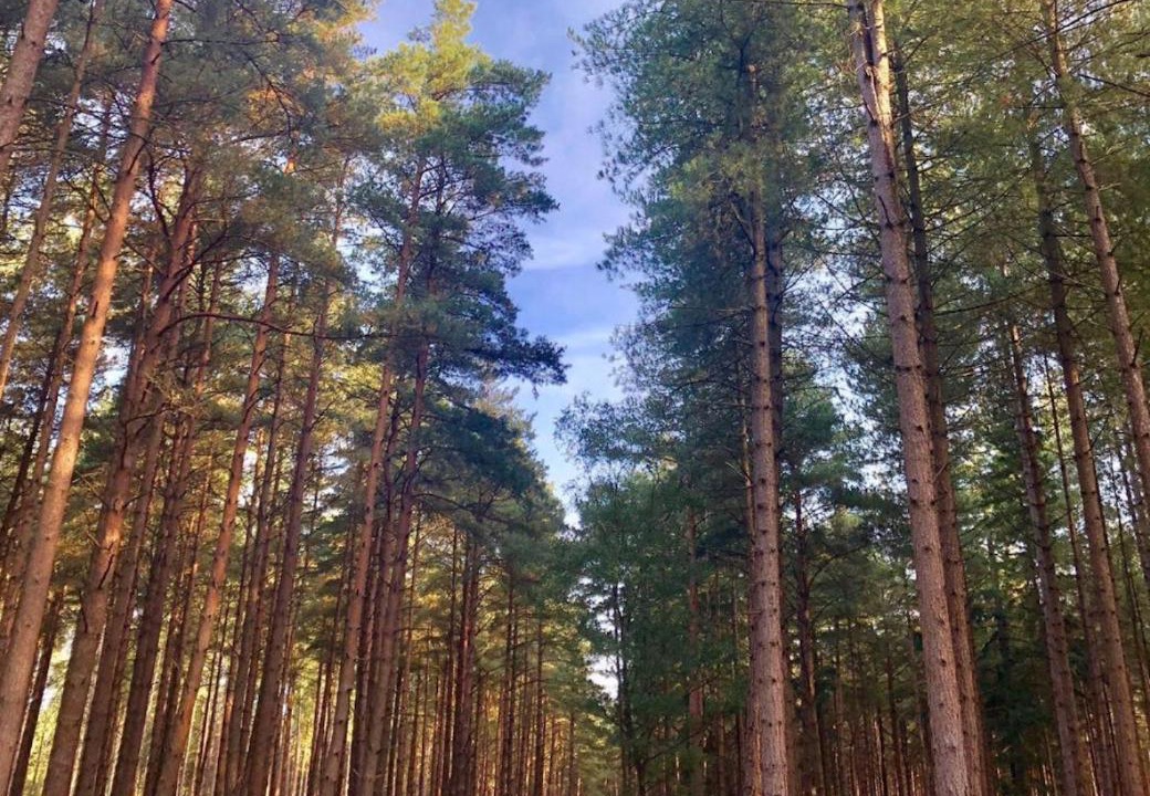 Photo of Others in Holworth