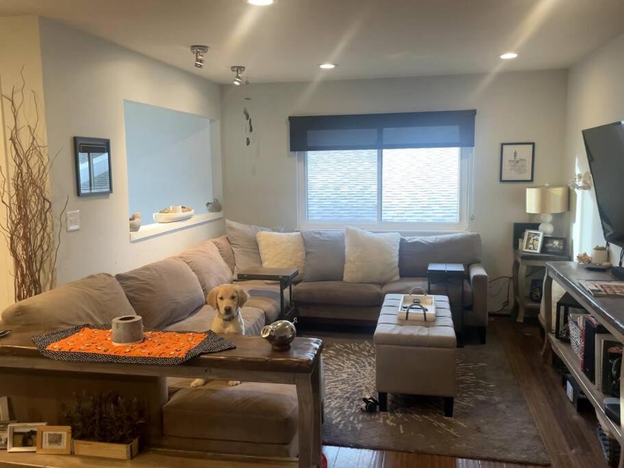 Photo of Livingroom in Arapahoe Ridge