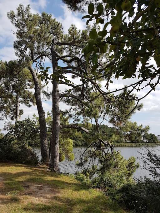 Photo of Others in Lorient