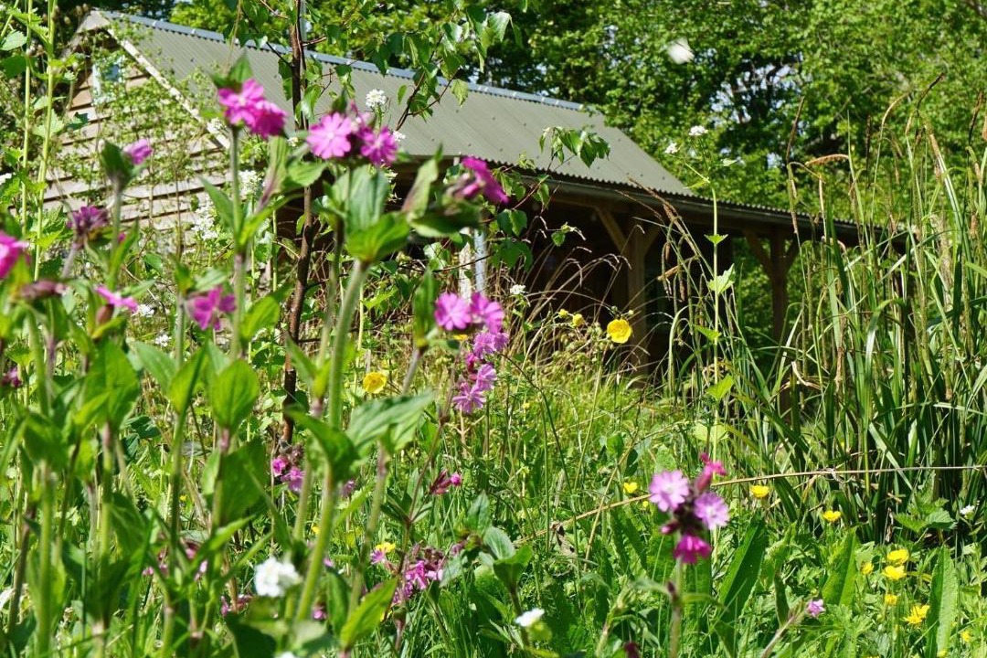 Photo of Others in East Grinstead