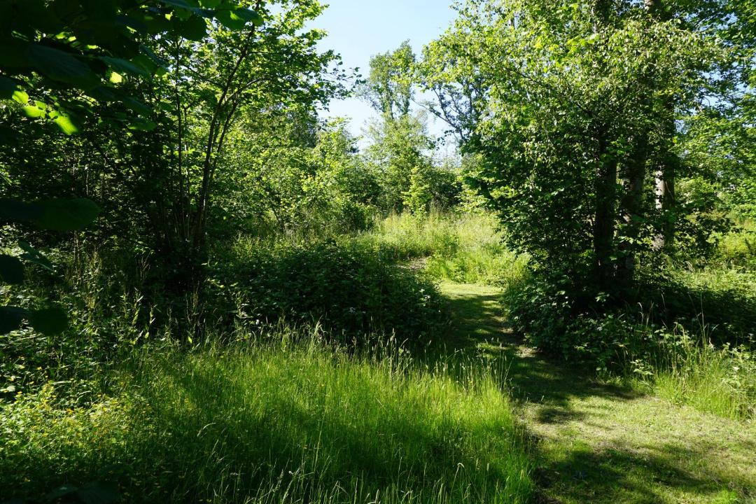 Photo of Outdoor in East Grinstead