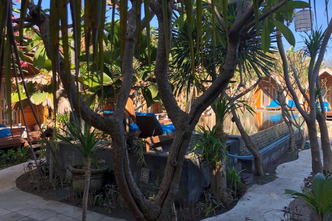 Photo of Others in Gili Trawangan