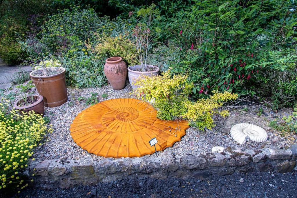 Photo of Outdoor in Richmond