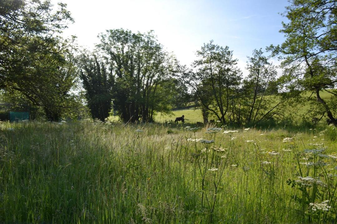 Photo of Others in Belluton