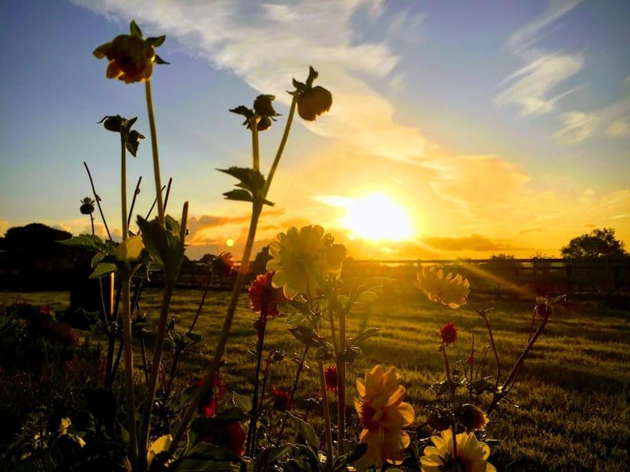 Photo of Outdoor in Winsham