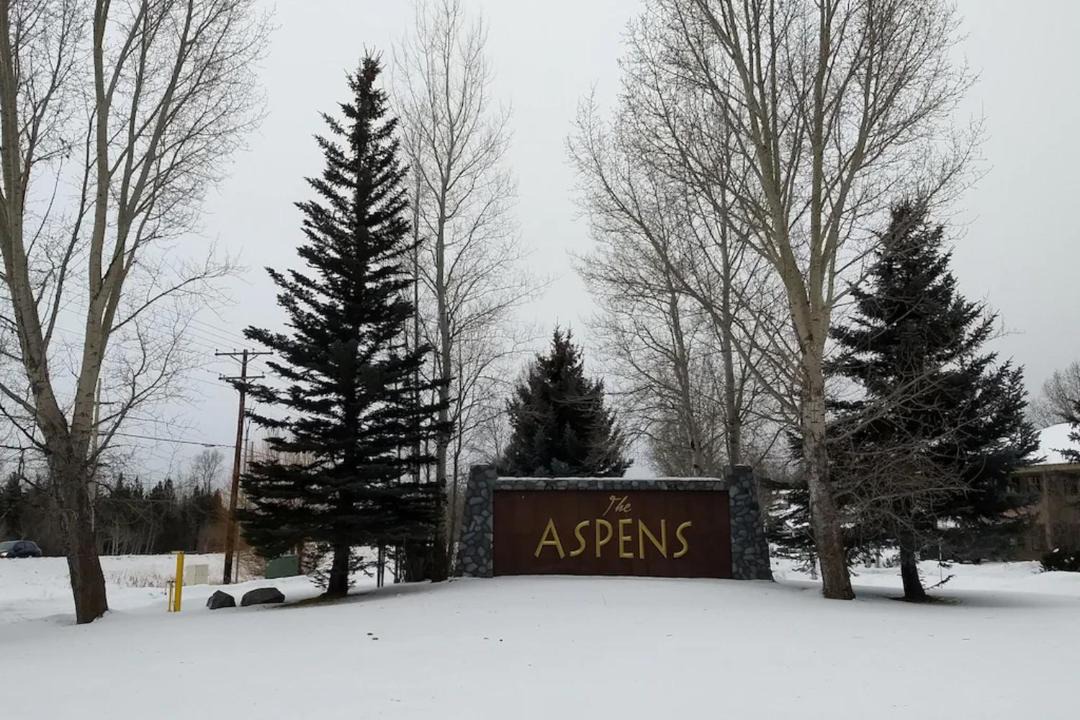 Photo of Others in Moose Wilson Road