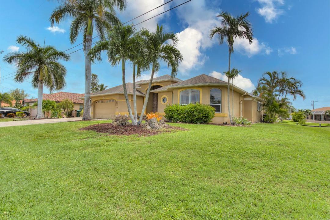 Photo of Others in Pelican